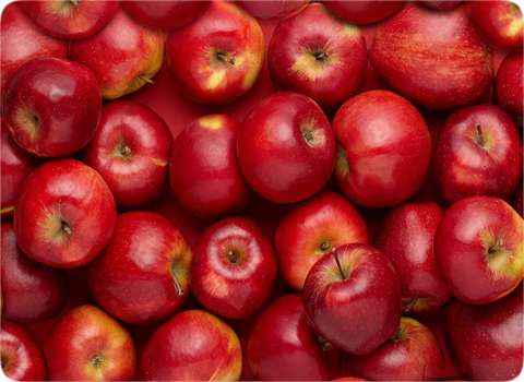 خرید و قیمت سیب سرخ شاهرود + فروش عمده